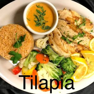 tilapia